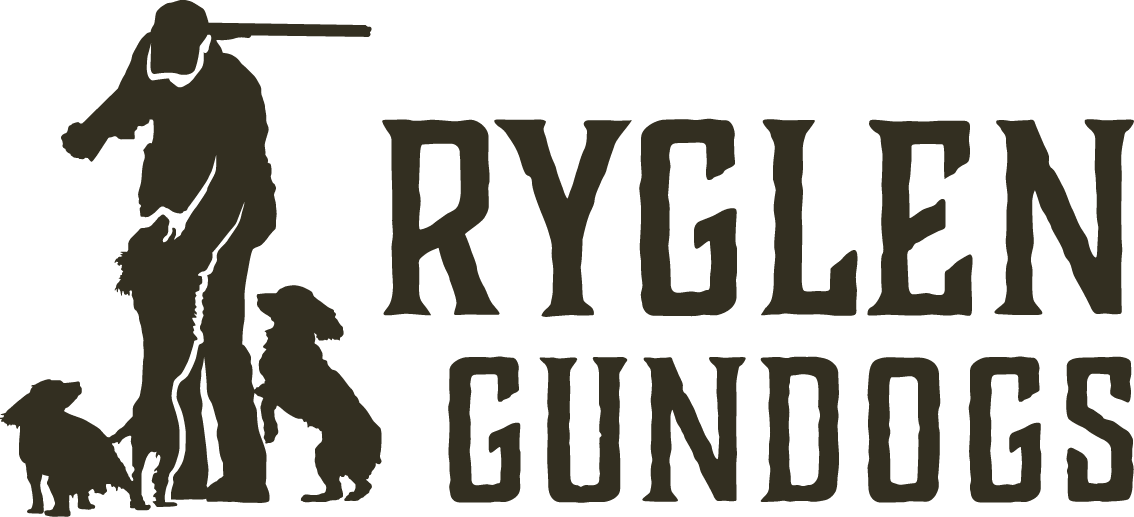 Ryglen Yeti 20 oz Stainless with lid – Ryglen Gundogs Storefront